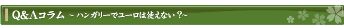 Q&AR`nK[Ń[͎gȂH`