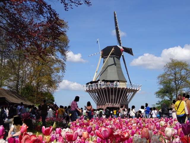 オランダの歴史と特徴