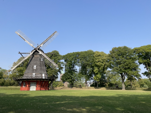 環境問題への積極的な取り組み