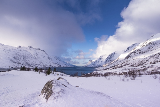 ノルウェーってどんな国？