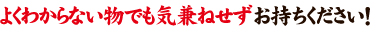よくわからないものでも気兼ねせずお持ち下さい