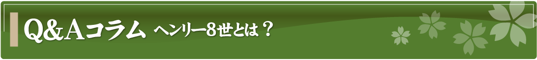 Q&Aコラム～ヘンリー8世とは？～