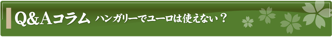 Q&Aコラム～ハンガリーでユーロは使えない？～