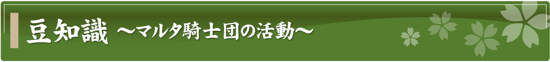 豆知識～マルタ騎士団の活動～