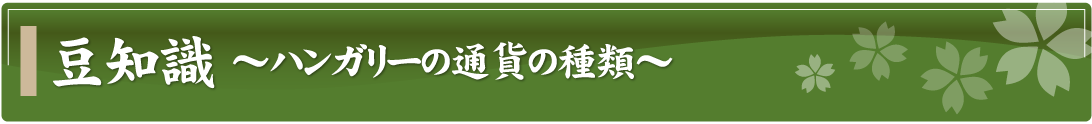 豆知識～ハンガリーの通貨の種類～