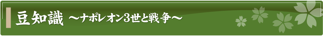 豆知識～ナポレオン3世と戦争～