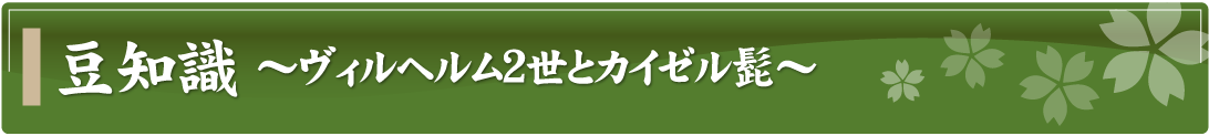 豆知識～ヴィルヘルム2世とカイゼル髭～