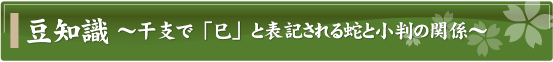 豆知識～干支で「巳」と表記される蛇と小判の関係～