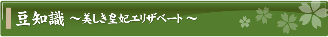 豆知識～美しき皇妃エリザベート～