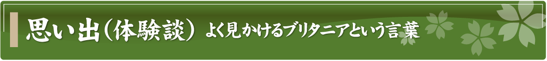 思い出（体験談）～よく見かけるブリタニアという言葉～