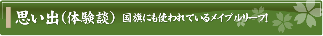 思い出（体験談）～国旗にも使われているメイプルリーフ！～