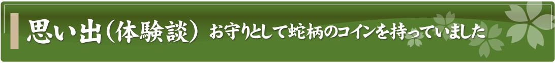 思い出（体験談）～お守りとして蛇柄のコインを持っていました～