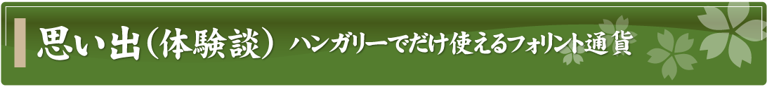 思い出（体験談）～ハンガリーでだけ使えるフォリント通貨～