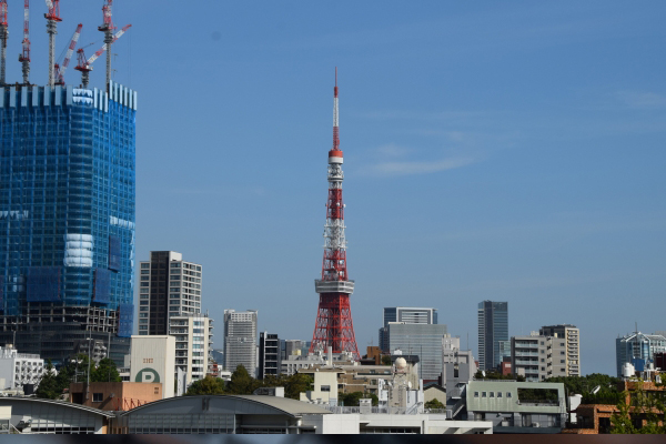 東京は硬貨買取専門店が多い